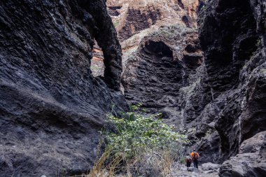 Gorge Masca hiking. büyük kayalar iz volkanik ada kapsar. Tenerife ada Dağları.