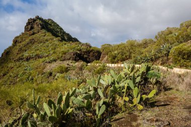 Dağlarda yol. Dağlarda güzel bir yol. güzel manzara.