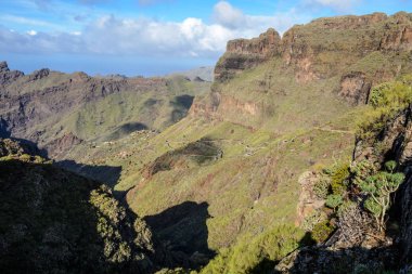 masca, tenerife, İspanya'nın köyüne giden yol virajlı dağ