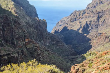 masca, tenerife, İspanya'nın köyüne giden yol virajlı dağ
