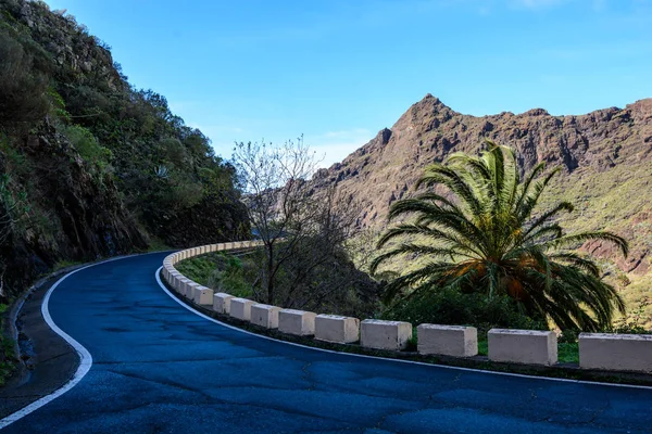 Hermoso camino en las montañas. Masca Tenerife . — Foto de Stock