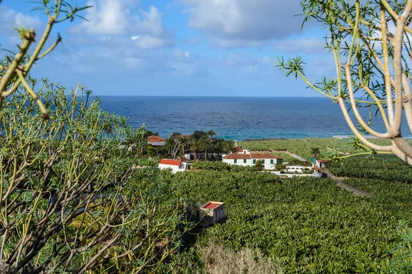 Afgelegen mooie boerderij aan zee. Landschappelijk landschap op Tenerife Eiland. — Stockfoto