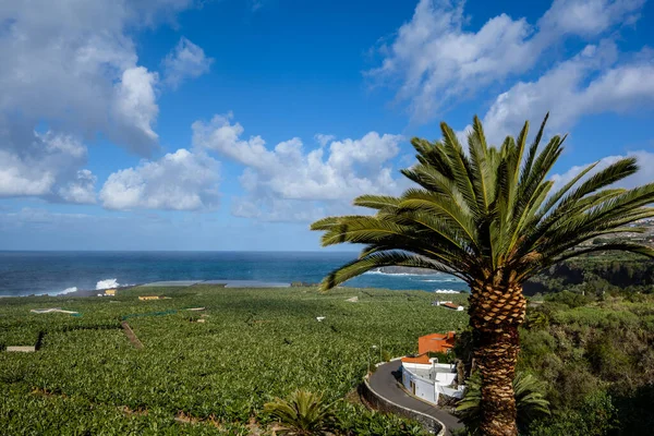 Afgelegen mooie boerderij aan zee. Landschappelijk landschap op Tenerife Eiland. — Stockfoto