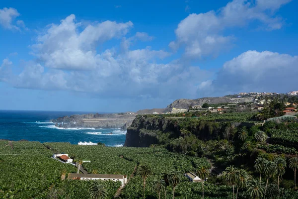 Afgelegen mooie boerderij aan zee. Landschappelijk landschap op Tenerife Eiland. — Stockfoto