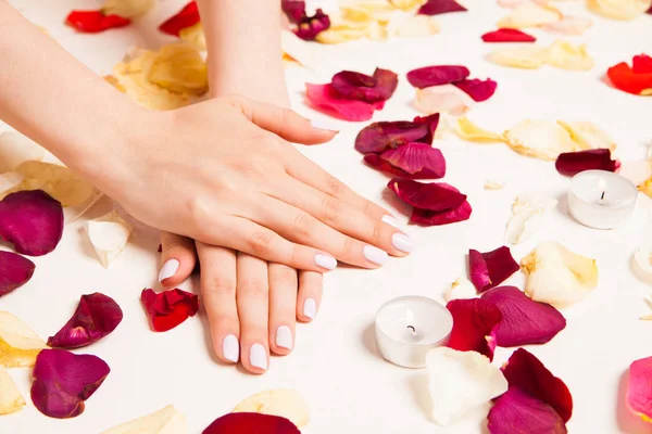 Female gentle hands crossed surrounded with petals — Stock Photo, Image