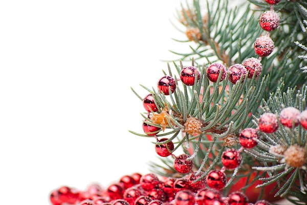 Christmas decorations with branch of tree on white — Stock Photo, Image
