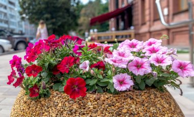 Flower beds in the city clipart