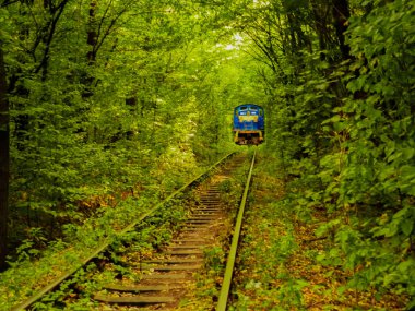 Ağaçlar arasında yeşil tünelde tren