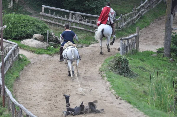 Francja. Park Puy du Fou. Pokaż Wikingów. 16 sierpnia 2017 . — Zdjęcie stockowe