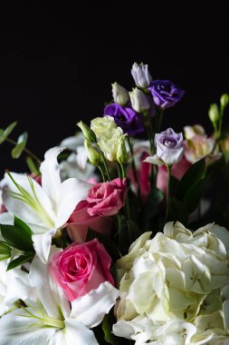 Koyu arka plan üzerinde renkli çiçekler. 