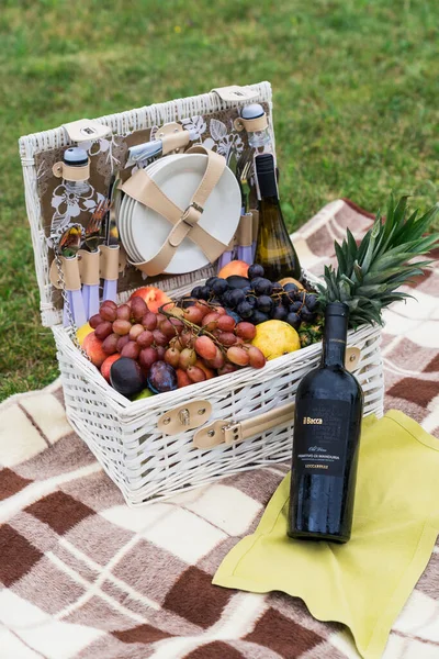 Picnic basket with products and bottle of wine on checkered blanket in garden.