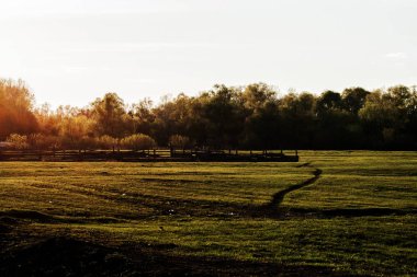 Akşam güneşin doğada.