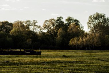 Akşam güneşin doğada.