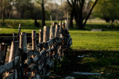 Üzerinde iki Kuzgunlar oturup çit. 