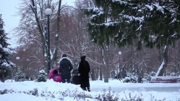 Giovani madri. Passeggiate in un parco invernale — Video Stock