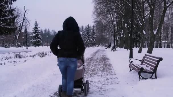 Jonge moeder is in een stadspark met een wandelwagen. — Stockvideo