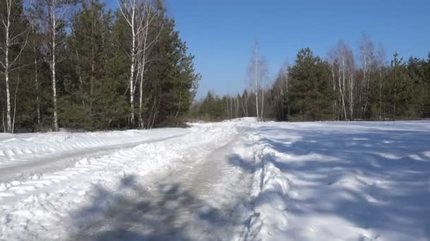 驾驶冬季景观与森林。阳光明媚, 冬天 — 图库视频影像