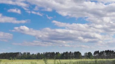 Manzara mavi bir gökyüzü ve bir alan bir yaz gününde. Düşük açılı