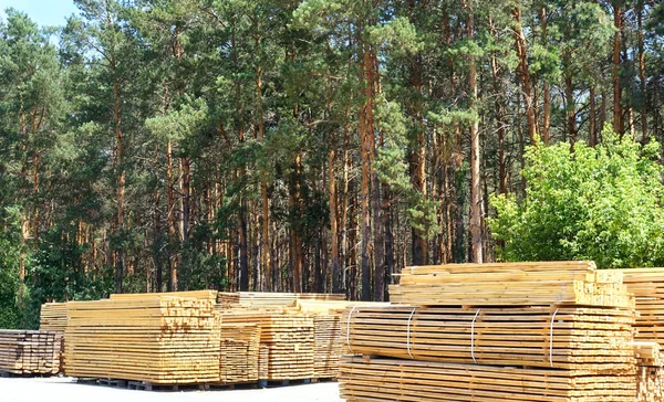 Industrie du bois. Planches en bois empilées dans des piles — Photo