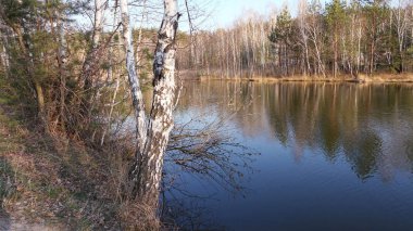 Gölde bir bahar gününde sessiz hava