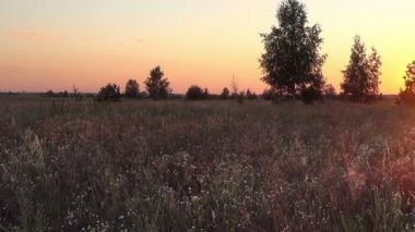 yaz günbatımı alanında.