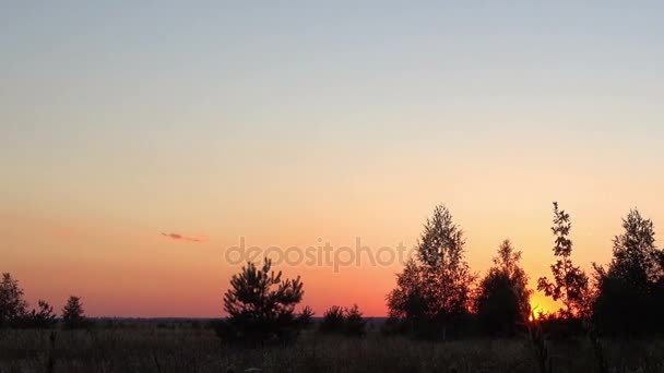 Silhouettes of Trees Against the Backdrop of the Setting Sun — Stock Video