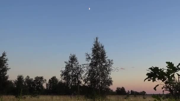 Stiller Sommerabend. Himmel bei Sonnenuntergang, Mond über dem Feld. — Stockvideo