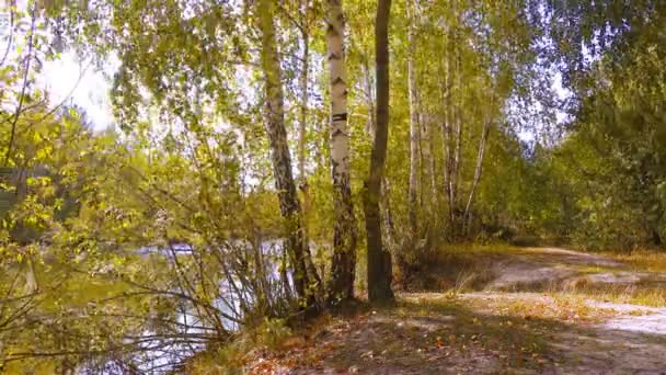 Jour d'automne venteux sur la rive du lac . — Video