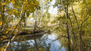 Sonbahar ağaçlar su üzerinde