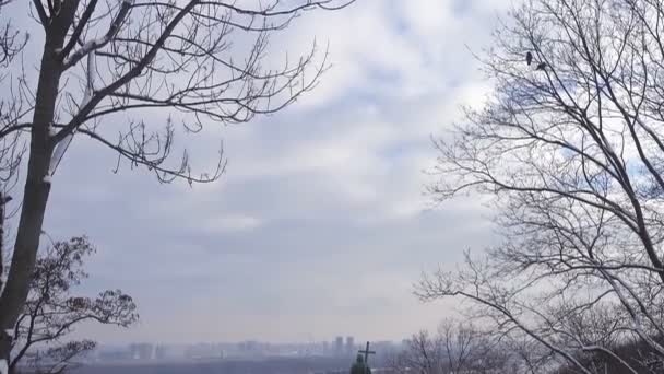 Monumento São Vladimir Paisagem Inverno Kiev Movendo Câmera Para Baixo — Vídeo de Stock