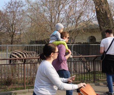 Zebralar ile muhafaza geçmiş Hayvanat Bahçesi çevresinde insanlar yürüyüş