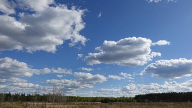 Alan üzerinde yüzen bulutlar. Mesafe ormanda