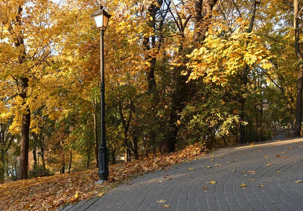 Callejón de otoño en el parque — Foto de Stock