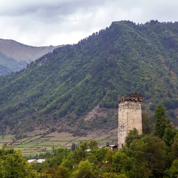 Georgia Svaneti hegyi folyó őrtornyok — Stock Fotó