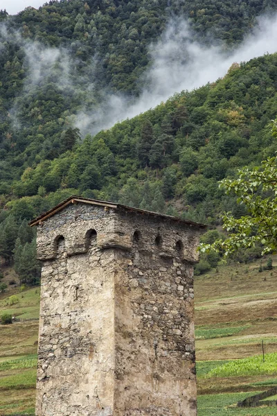 Georgia Svaneti hegyi folyó őrtornyok — Stock Fotó