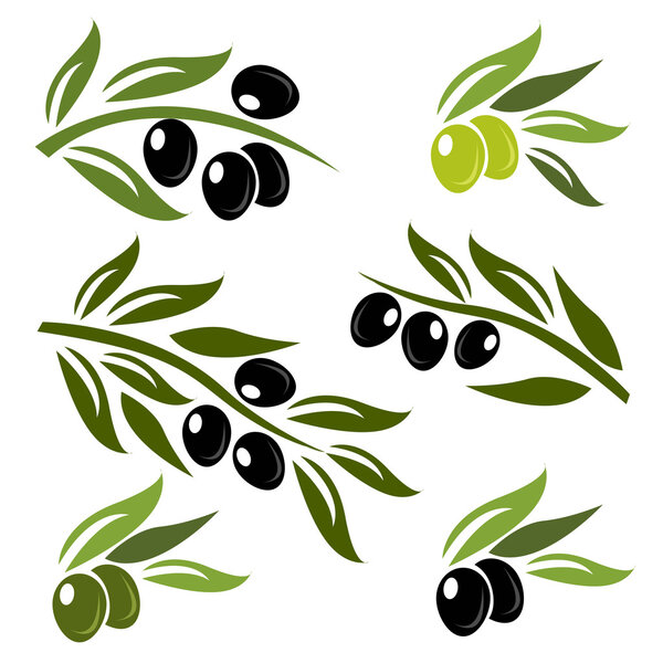 Green and black olives set logo