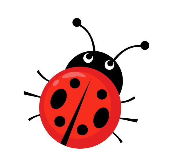 Ladybug vector illustration — Stock Vector