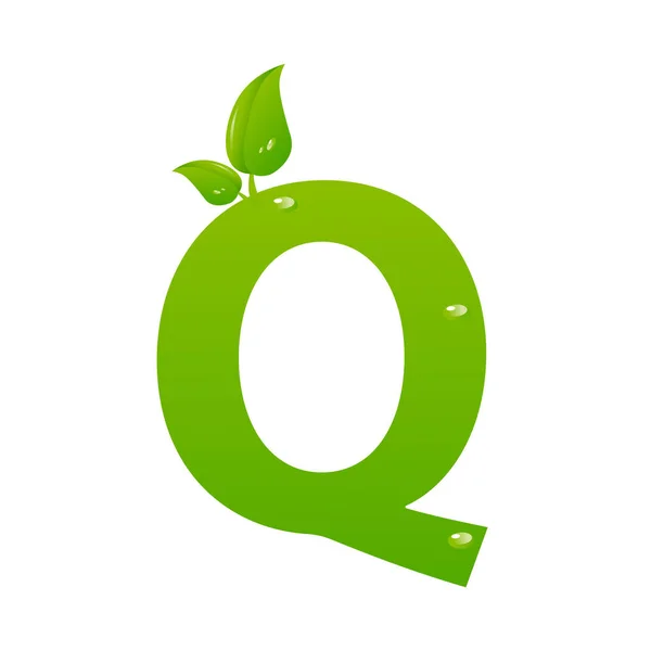 Verde eco letra Q vector Ilustración — Vector de stock