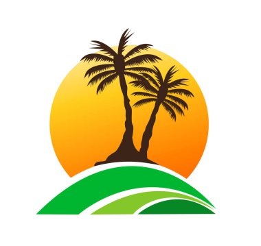 palmiye ağacı görüntü