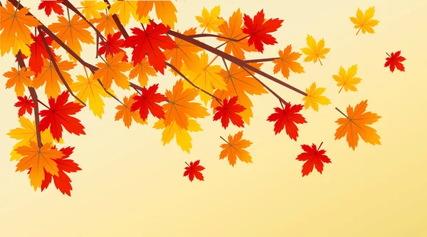 Векторная иллюстрация осенних листьев — стоковый вектор
