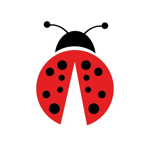 てんとう虫のベクトル図 — ストックベクタ