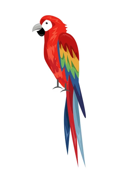 Perroquet de couleur, dessin animé oiseau — Image vectorielle