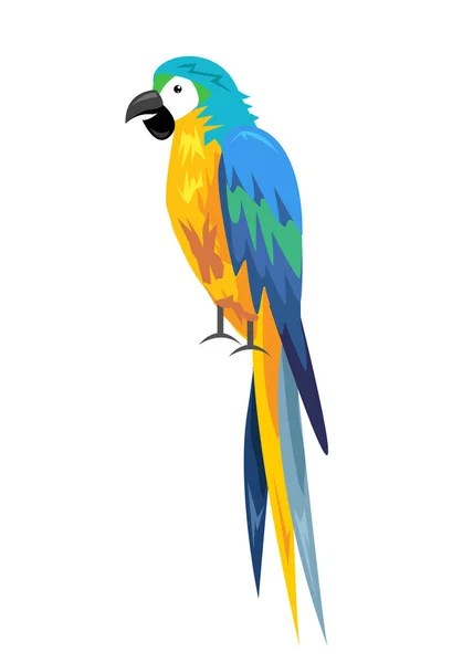 Kolorowa papuga, projekt ptaka kreskówki — Wektor stockowy