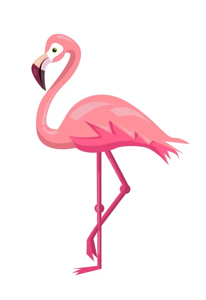 Flamingo Vogel Illustration Design auf Hintergrund — Stockvektor