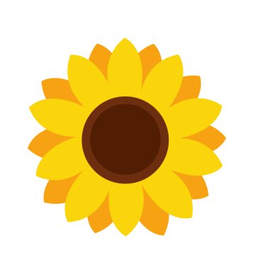 Beyaz arkaplanda izole edilmiş ayçiçeği simgesi