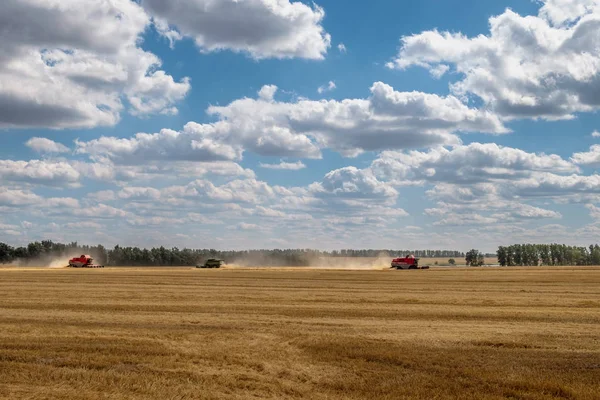 Raccolti sul campo in autunno — Foto Stock