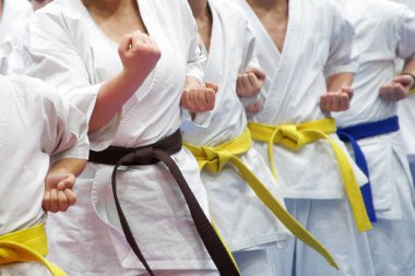 Beyaz kimonolu, sarı, mavi ve kahverengi renkli bir grup Karateka.