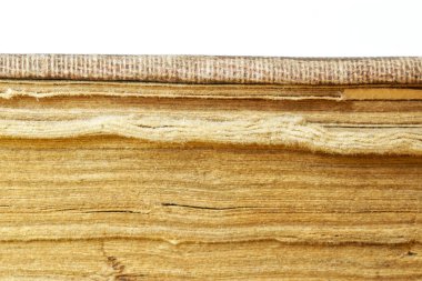 Üniversite ya da okul kütüphanesinden kalın bir kitabın parçası.. 