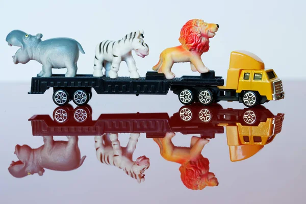 Um grande caminhão amarelo carrega animais africanos raros: zebra, leão a — Fotografia de Stock