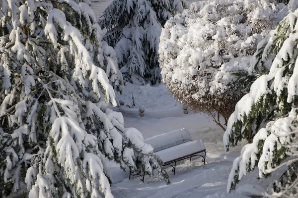 Лавка, вкрита свіжим снігом в зимовому парку позаду — стокове фото